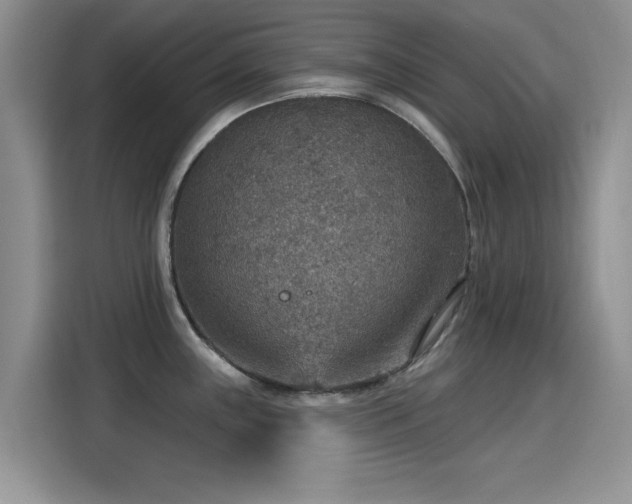 X0000115611243200911171142