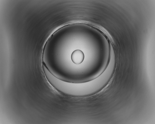 X0000115611244200911171142