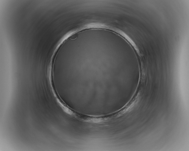 X0000115611245200911171142