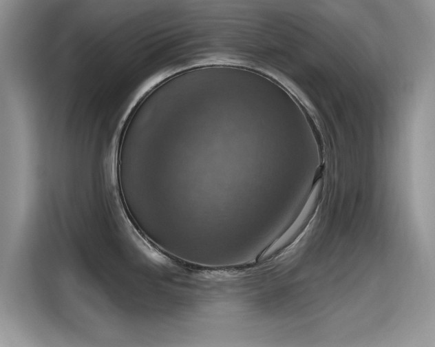 X0000115611246200911171142