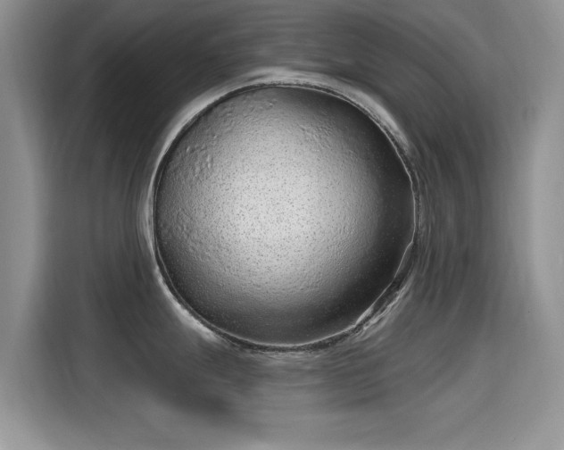 X0000115611247200911171142