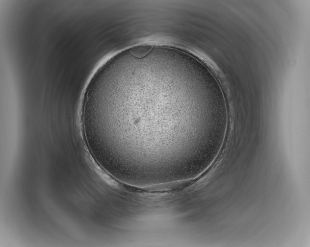 X0000115611248200911171142