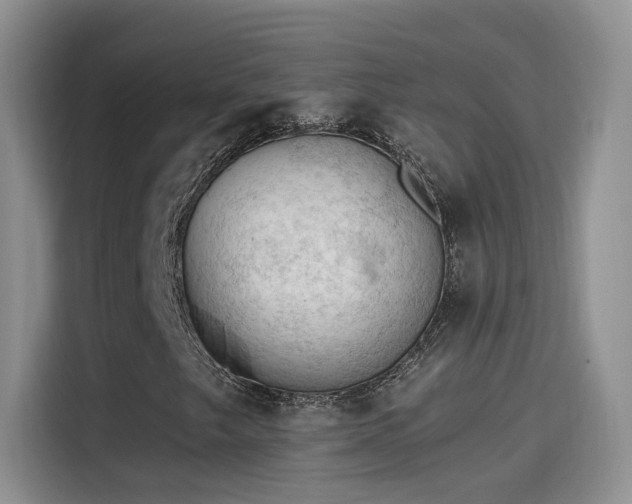 X0000115611249200911171141