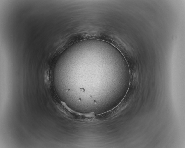 X0000115611250200911171141