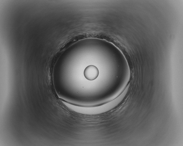X0000115611252200911171141
