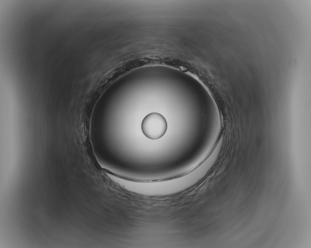 X0000115611253200911171141