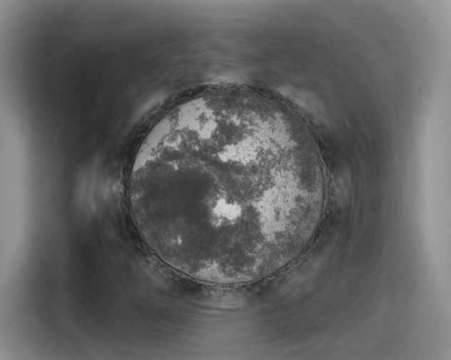 X0000115611254200911171141