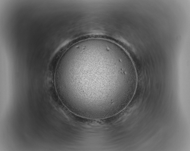 X0000115611255200911171141