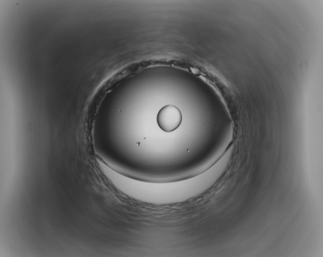 X0000115611256200911171141