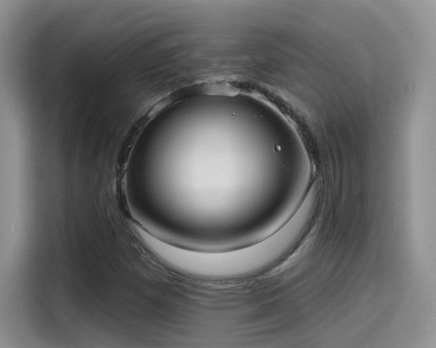 X0000115611257200911171141
