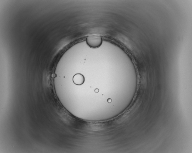 X0000115611258200911171141