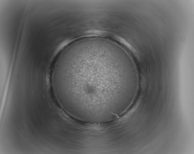 X0000115611259200911171141