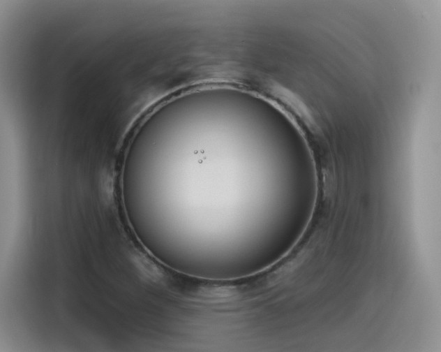 X0000115611260200911171141