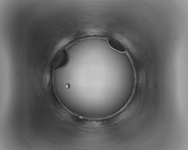 X0000115611261200911171141