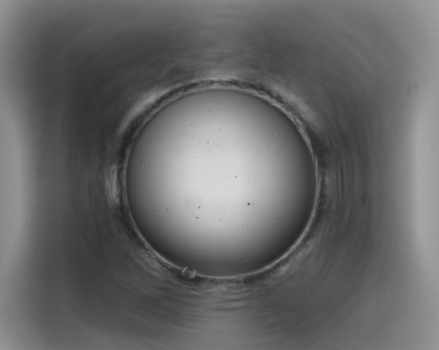 X0000115611262200911171141