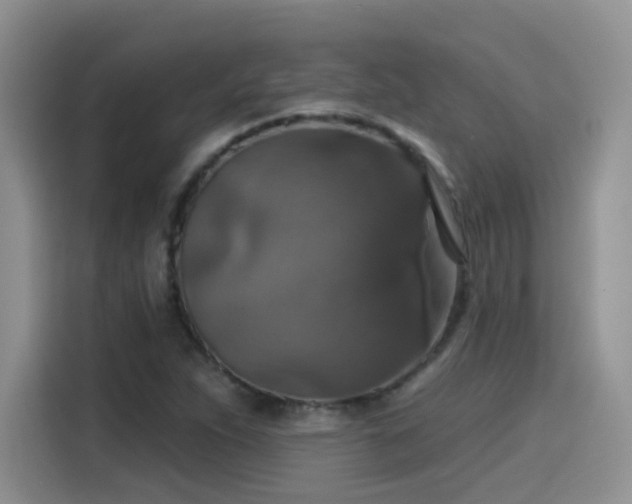 X0000115611263200911171141