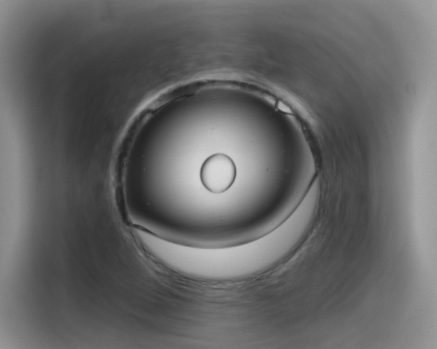 X0000115611264200911171141