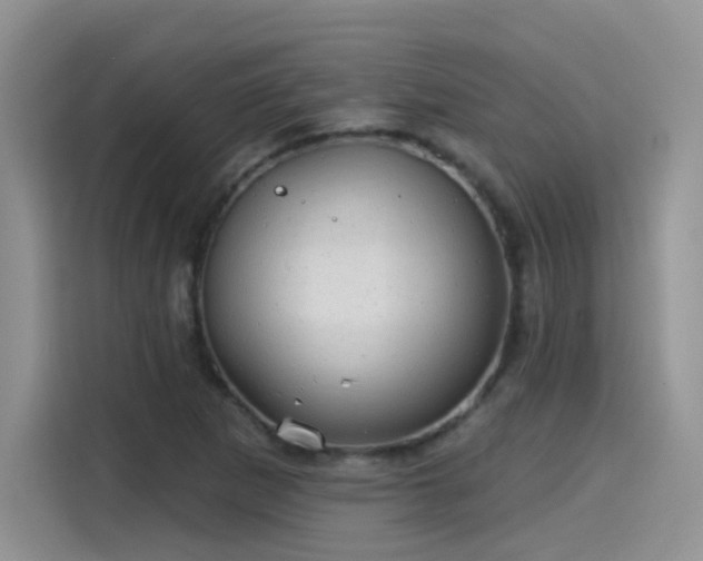 X0000115611265200911171141