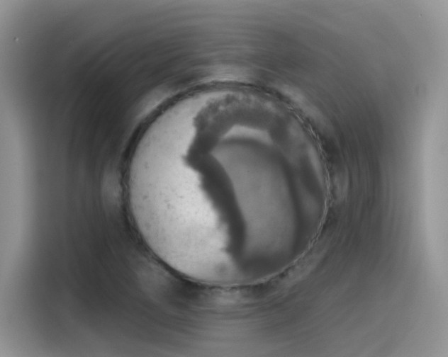 X0000115611266200911171141
