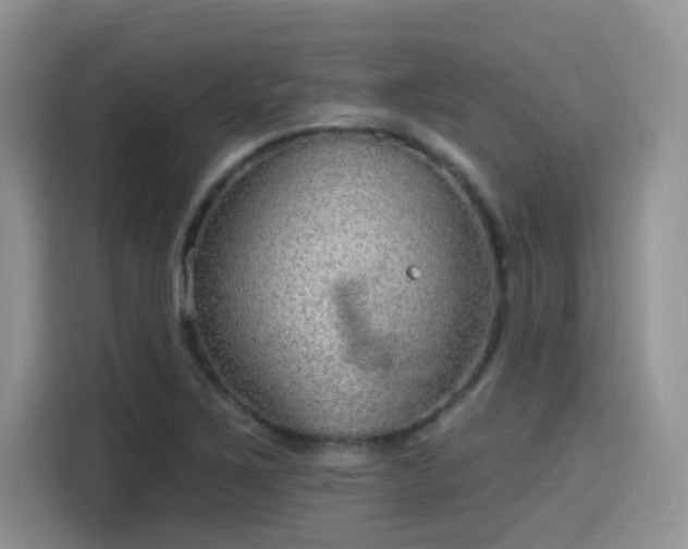 X0000115611267200911171141