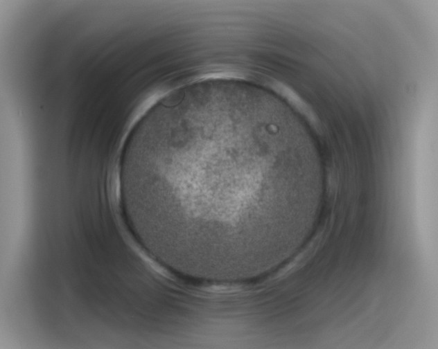 X0000115611274200911171141