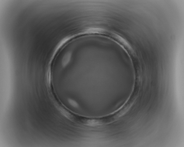X0000115611275200911171141