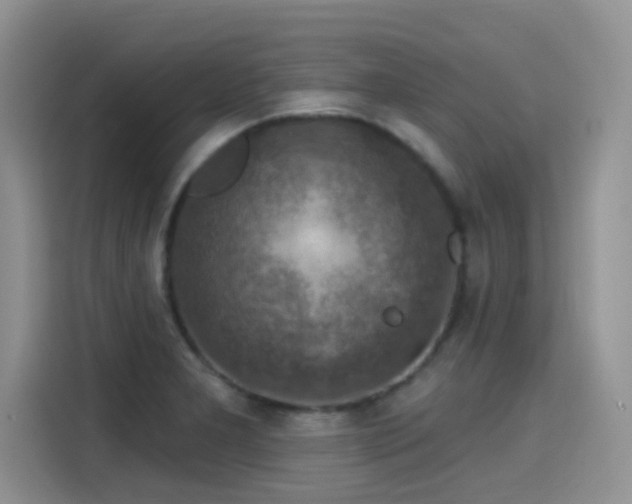 X0000115611277200911171141