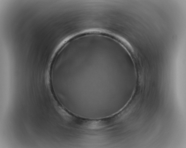 X0000115611279200911171141