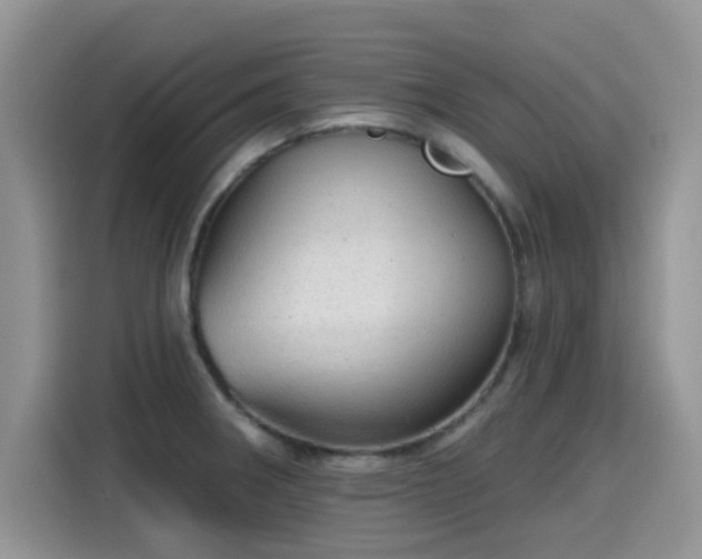 X0000115611282200911171141