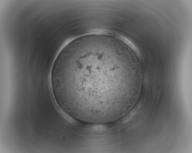 X0000115611283200911171141