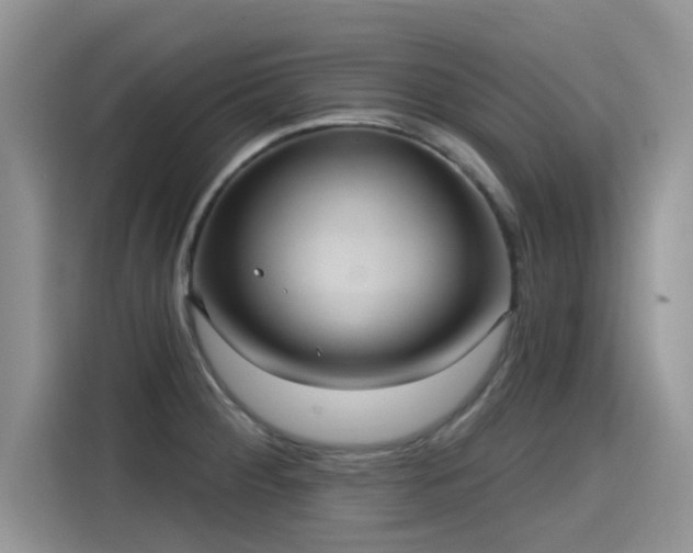 X0000115611284200911171141