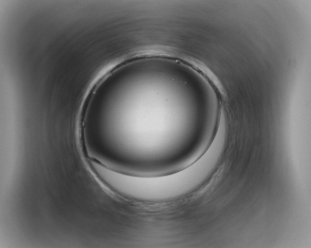 X0000115611285200911171141