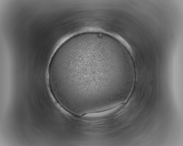 X0000115611287200911171141