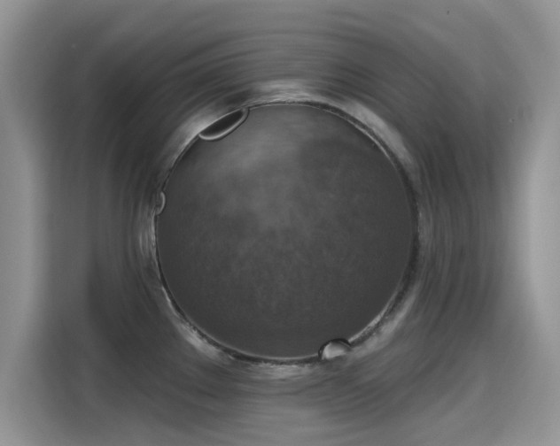 X0000115611289200911171141