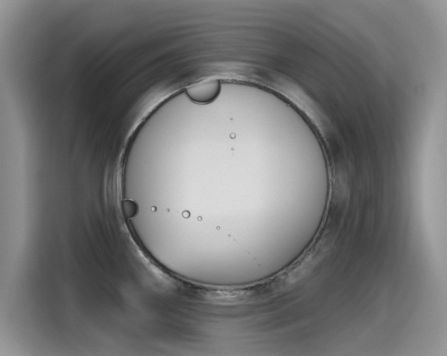 X0000115611290200911171141