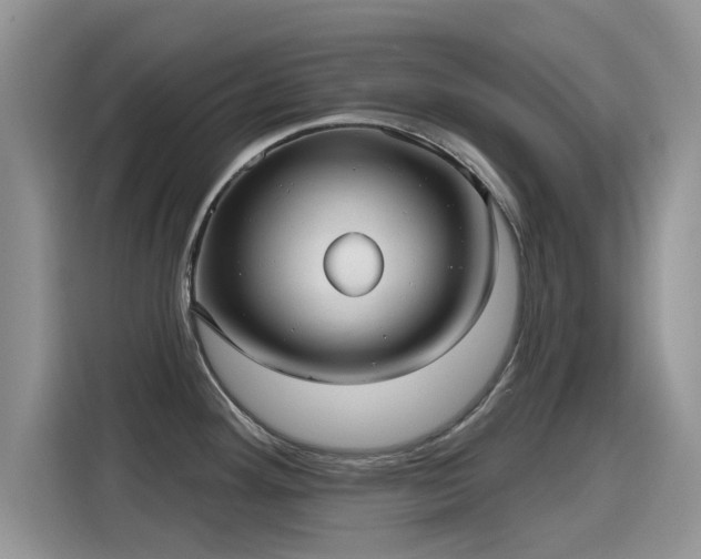 X0000115611292200911171141