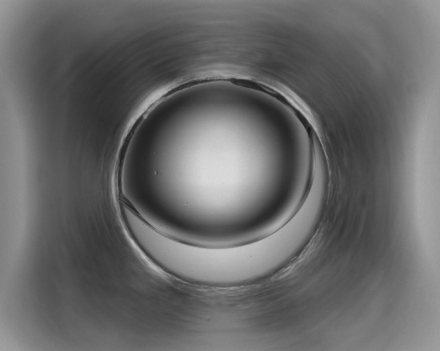 X0000115611293200911171141