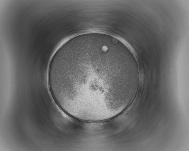 X0000115611294200911171141