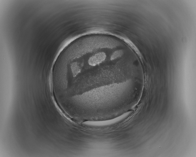 X0000115611295200911171141
