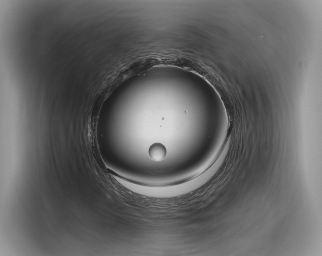 X0000115611298200911171140