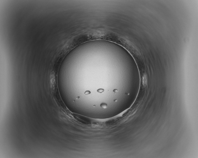 X0000115611299200911171140