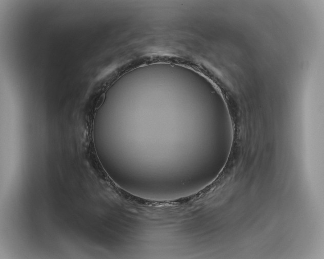X0000115611303200911171140