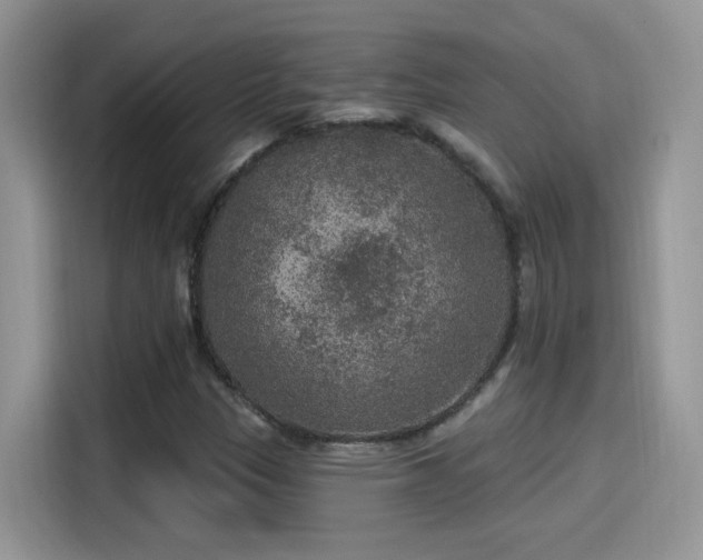 X0000115611305200911171140