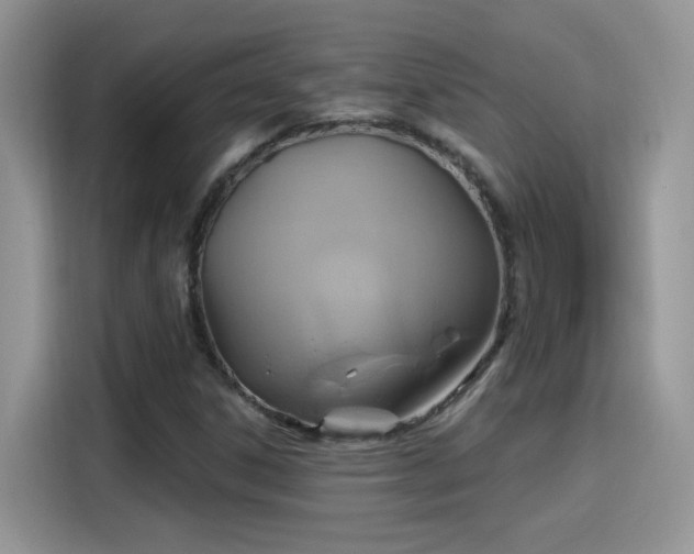 X0000115611306200911171140