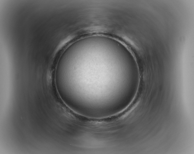 X0000115611309200911171140