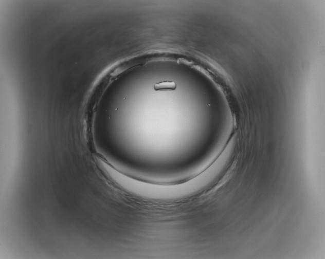 X0000115611310200911171140