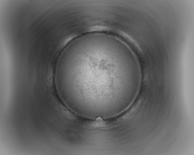 X0000115611313200911171140
