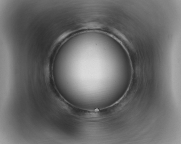 X0000115611315200911171140
