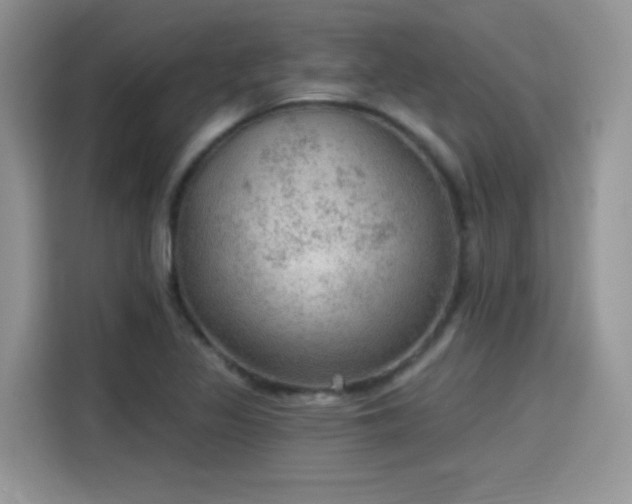 X0000115611317200911171140