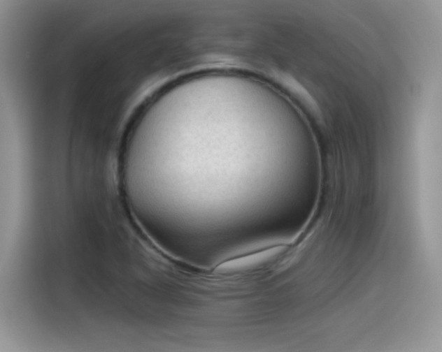 X0000115611318200911171140